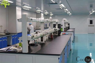 全面创新 广东时尚女孩开创化妆品OEM新纪元